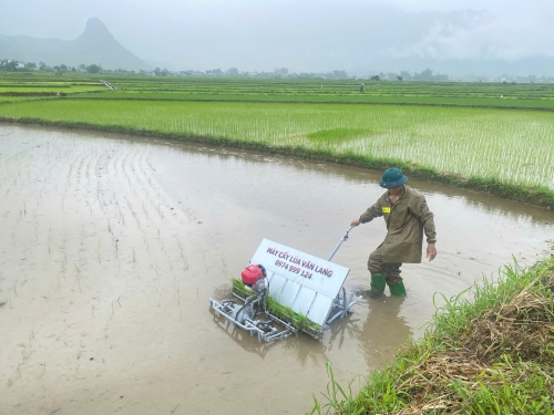 Người dân bản Nà Xa sử dụng máy cấy để cấy lúa vụ mùa